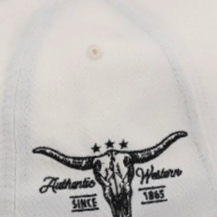 Stetson Desert Scene (Black) - Trucker Cap