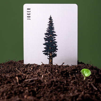 Smokey Bear Playing Cards