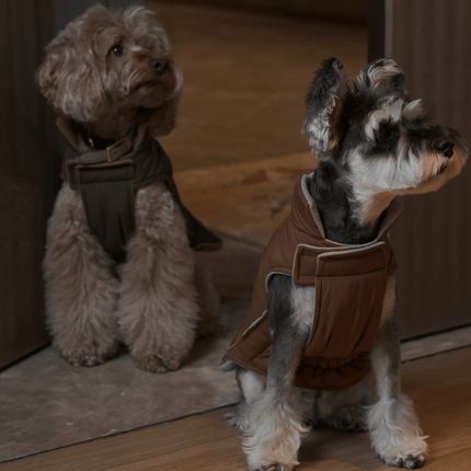 Reversible Dog Vest Jacket - Orange Grey