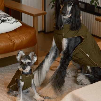 Reversible Dog Vest Jacket - Green Brown
