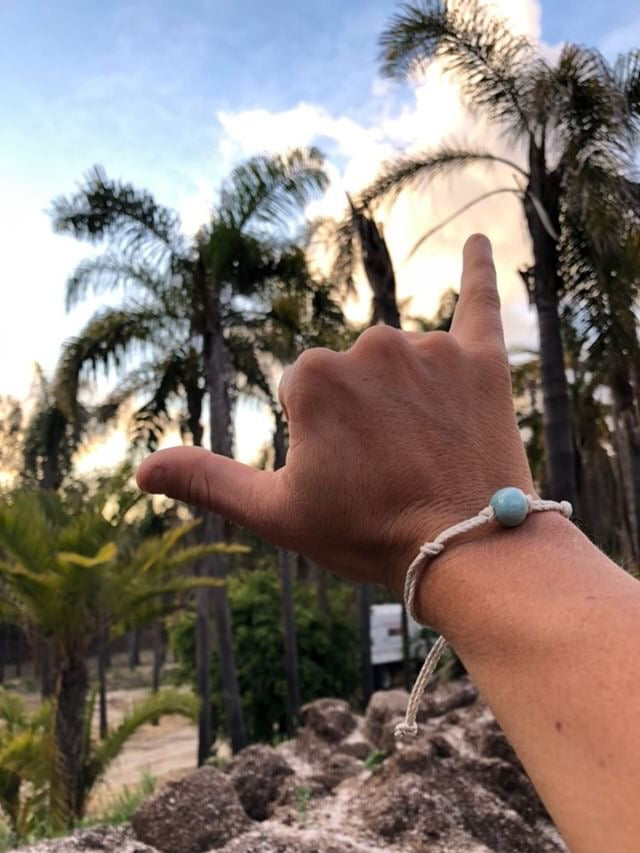 Manatee | Pine Island Fl