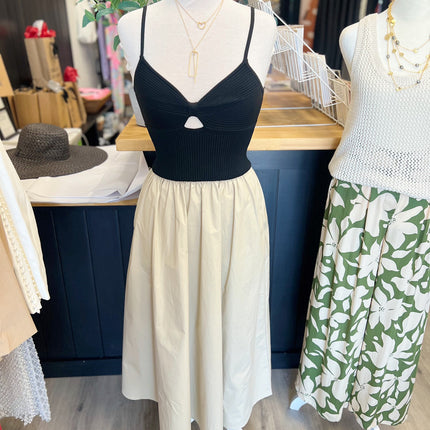 Black & Tan Dress