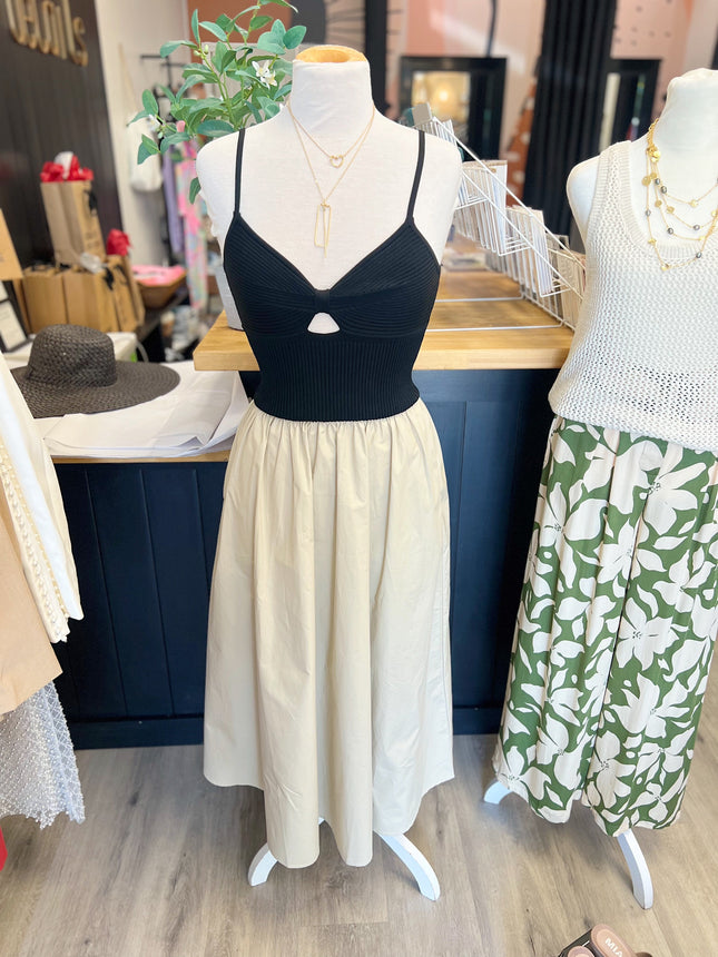 Black & Tan Dress