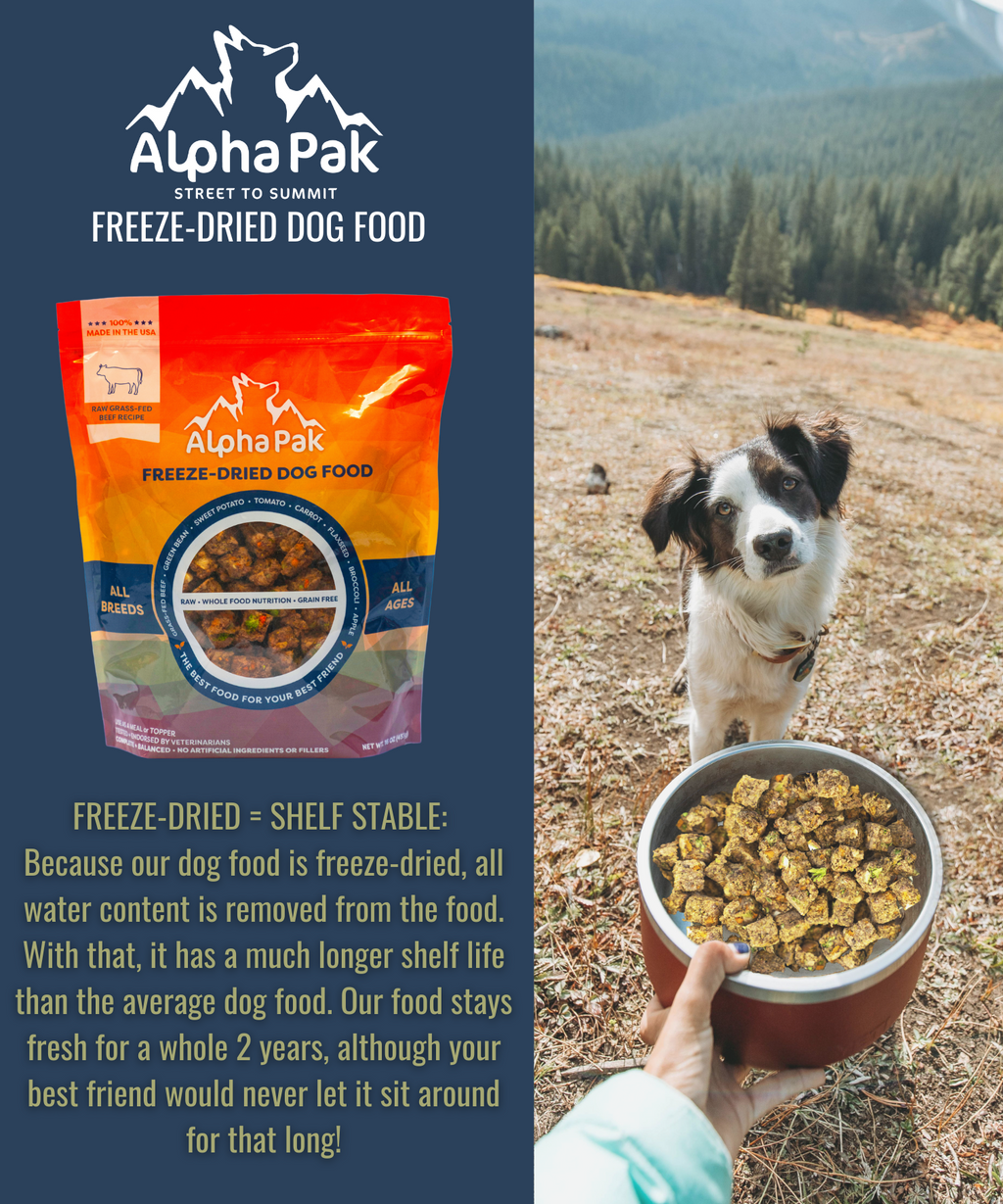 PREMIUM RAW FREEZE DRIED DOG FOOD BEEF