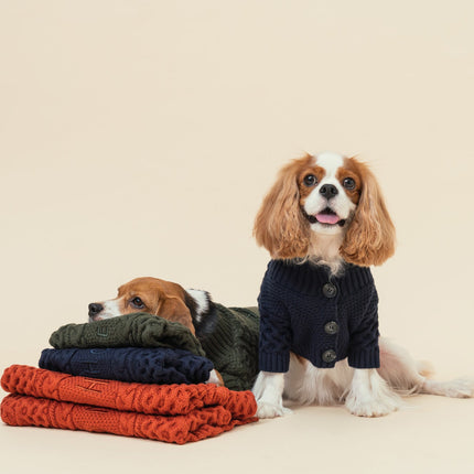 BERT CARDIGAN SWEATER - DARK GREEN
