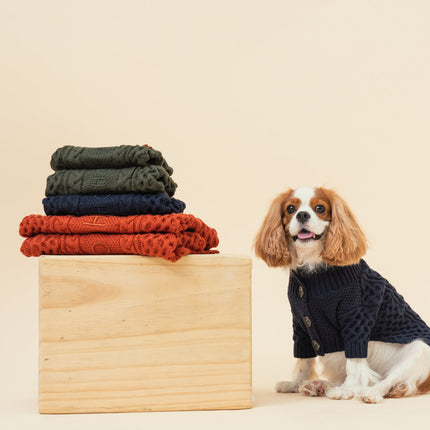 BERT CARDIGAN SWEATER - ORANGE