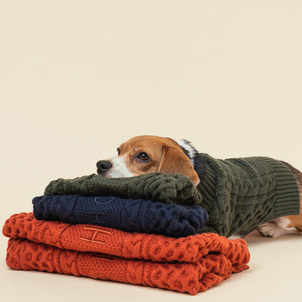 BERT CARDIGAN SWEATER - DARK GREEN