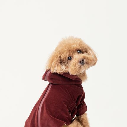 HUSTON HOODIE - DARK BURGUNDY