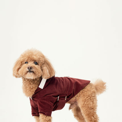 HUSTON HOODIE - DARK BURGUNDY