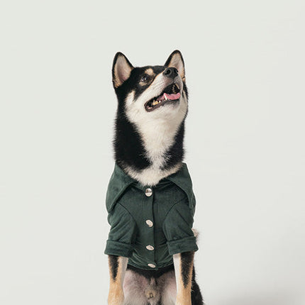 STAINWAY SHIRT - GREEN