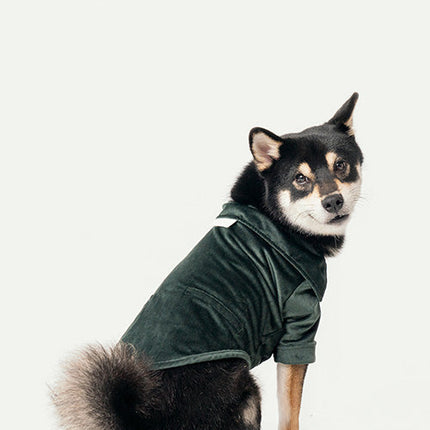 STAINWAY SHIRT - GREEN
