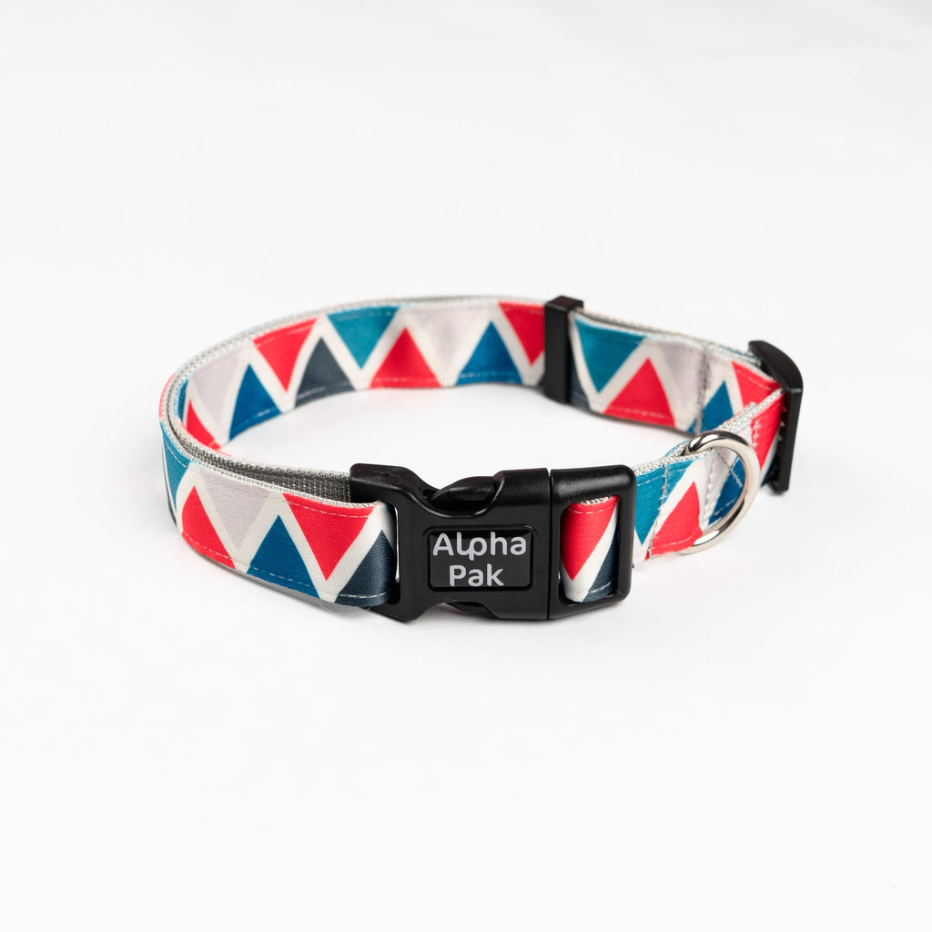 Everyday Adventure Dog Collar