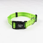 Small 5/8in wide by 8-12in long / Kiwi Green