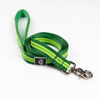 Small 5/8in. wide by 6ft. long / Kiwi Green