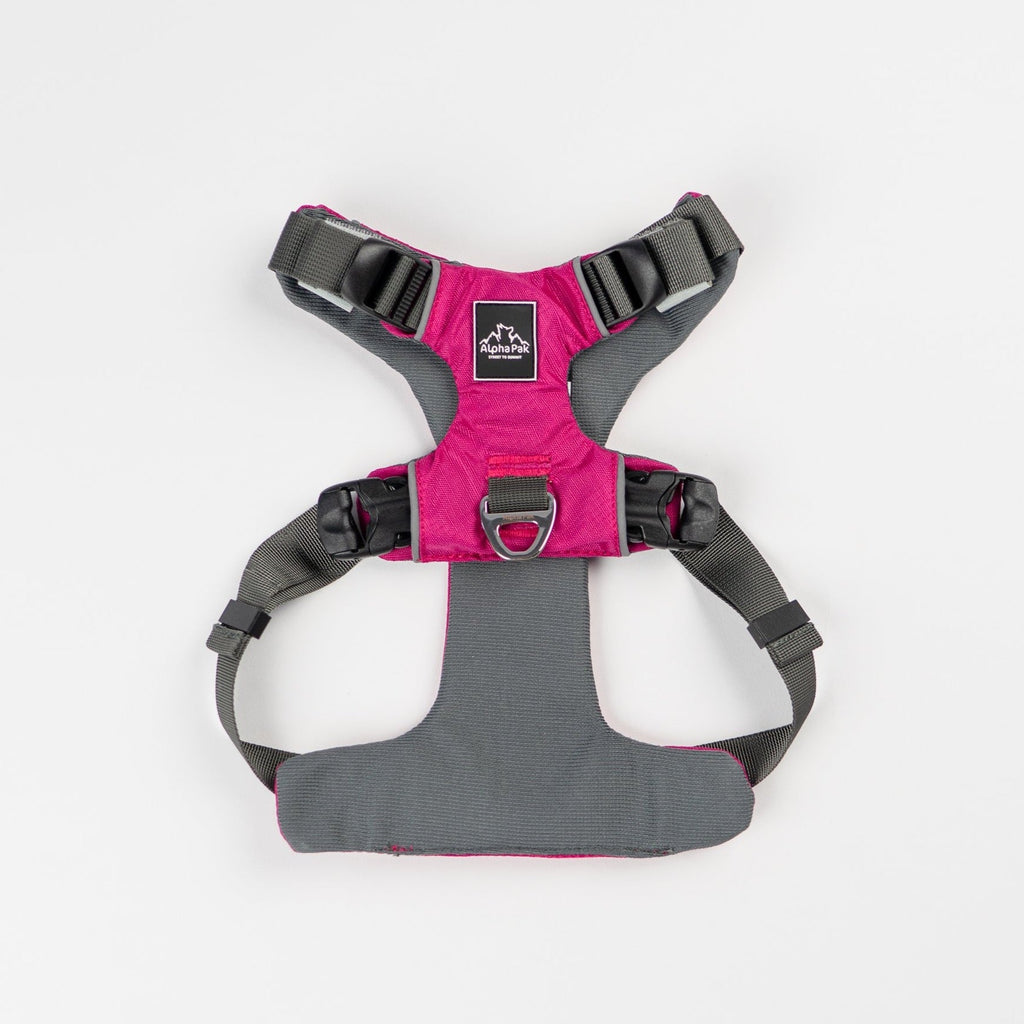 Everyday Adventure Dog Harness