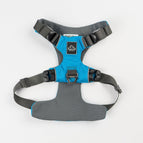 Ocean Blue / Small - Chest 17-22in - Neck 10-14in.