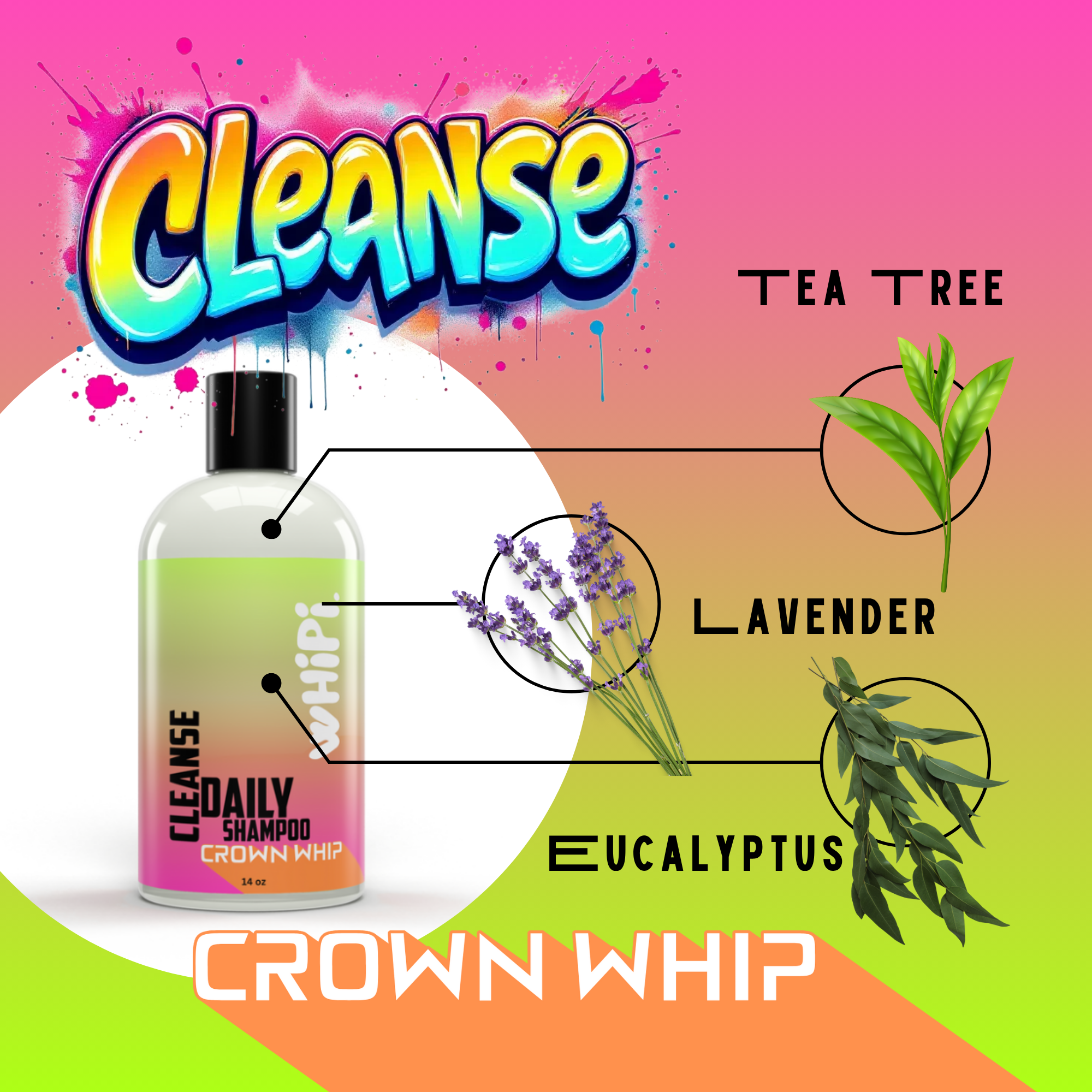 Cleanse – Crown Whip Daily Shampoo