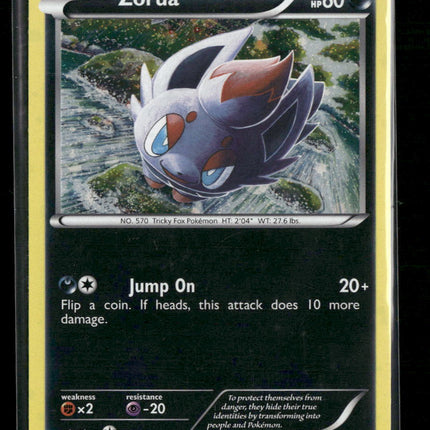Zorua Black and White Promos #BW12