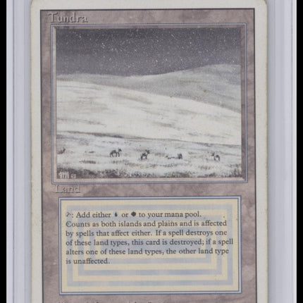 MTG: Tundra Revised Edition