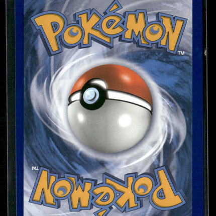 Charizard VSTAR SWSH: Sword & Shield Promo Cards #SWSH262