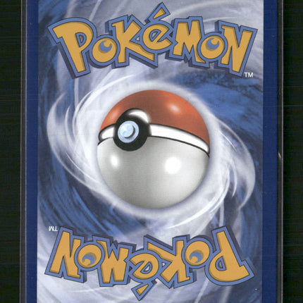 Lucario VSTAR SWSH: Sword & Shield Promo Cards #SWSH291