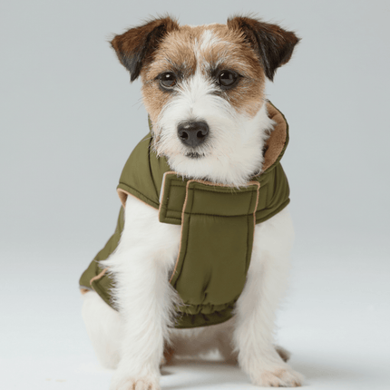Reversible Dog Vest Jacket - Green Brown