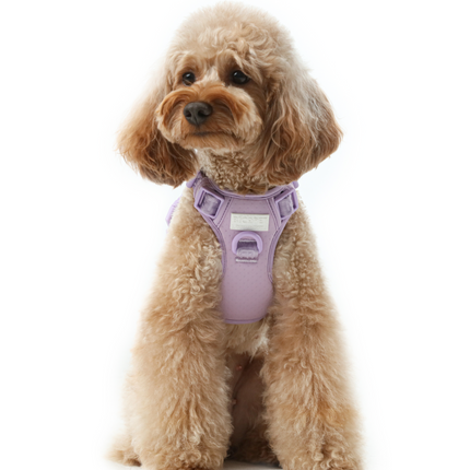 NO PULL ACTIVE  PET HARNESS - MINT PURPLE