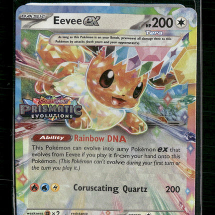 Eevee ex Miscellaneous Cards & Products #075/131