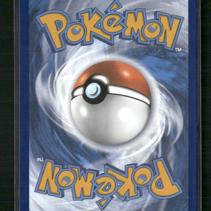 Lucario VSTAR SWSH: Sword & Shield Promo Cards #SWSH291