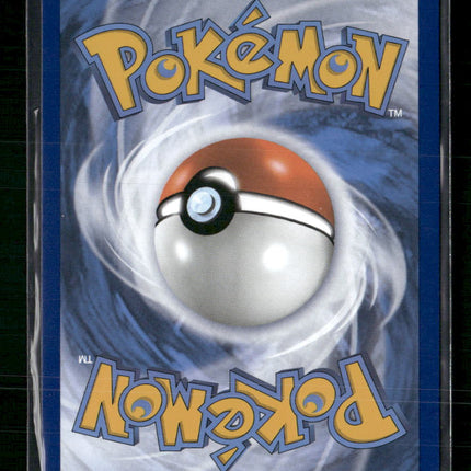 Lucario VSTAR SWSH: Sword & Shield Promo Cards #SWSH291