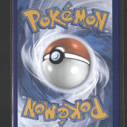 Lucario VSTAR SWSH: Sword & Shield Promo Cards #SWSH291