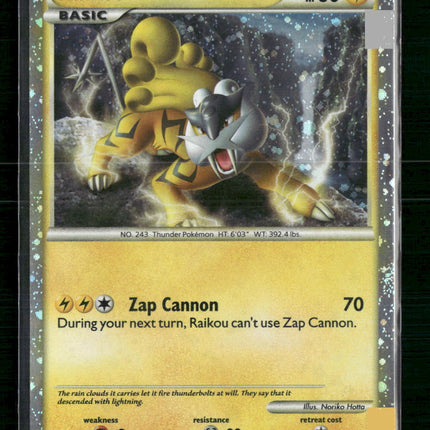 Raikou HGSS Promos #HGSS19