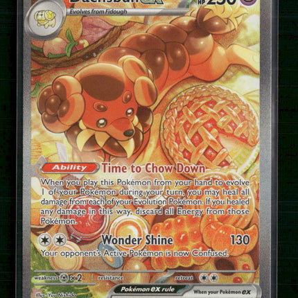 Dachsbun ex SV07: Stellar Crown #169/142