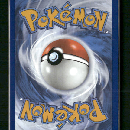 Lucario VSTAR SWSH: Sword & Shield Promo Cards #SWSH291