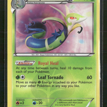 Serperior Dragons Exalted #125/124