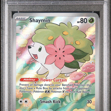 Shaymin 2025 Pokemon Dri En-Destined Rivals #185 Illustration Rare PSA 9
