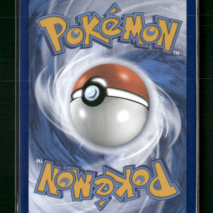 Lucario VSTAR SWSH: Sword & Shield Promo Cards #SWSH291