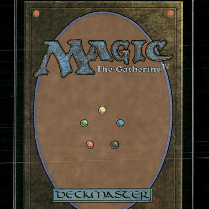 Universes Beyond: The Lord of the Rings: Tales of Middle-earth Mithril Coat #245