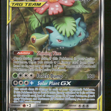 SM Promos Venusaur & Snivy GX #SM229