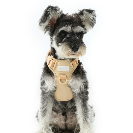 NO PULL ACTIVE  PET HARNESS - APRICOT