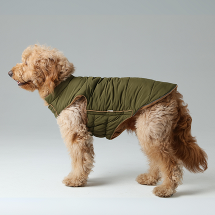 Reversible Dog Vest Jacket - Green Brown