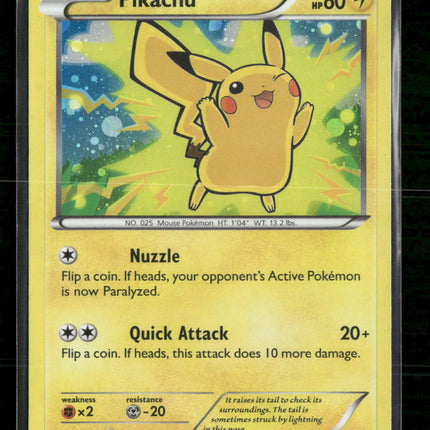 Miscellaneous Cards & Products Pikachu #042/146