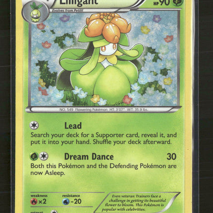 Black and White Promos Lilligant #BW49