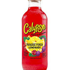 Lemonade, Paradise Punch / 16 Fl Oz (Pack of 6)
