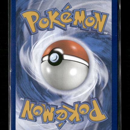 SWSH: Sword & Shield Promo Cards Lucario VSTAR #SWSH291
