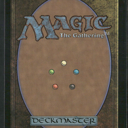 FINAL FANTASY Vivi Ornitier #248