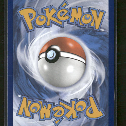 SWSH: Sword & Shield Promo Cards Lucario VSTAR #SWSH291
