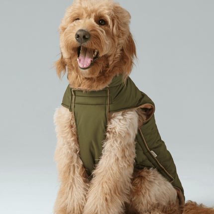 Reversible Dog Vest Jacket - Green Brown