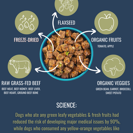 PREMIUM RAW FREEZE DRIED DOG FOOD BEEF