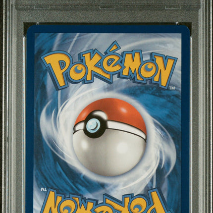 Squirtle 2024 Pokemon Scr En-Stellar Crown #148 Illustration Rare PSA 8